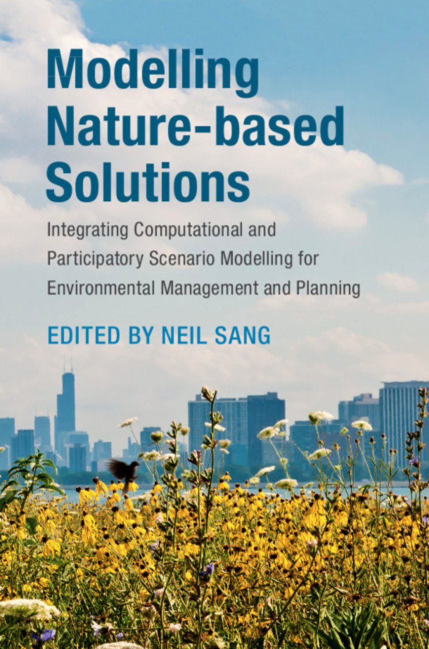 Modelling Nature-Based Solutions