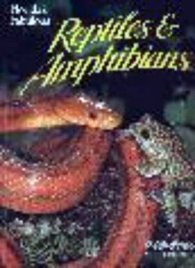 Florida&#039;s Fabulous Reptiles and Amphibians