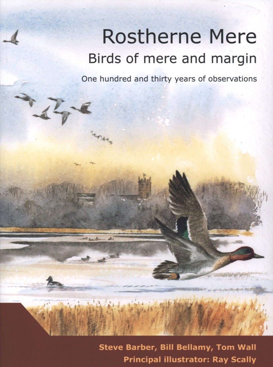 Rostherne Mere – Birds of Mere and Margin