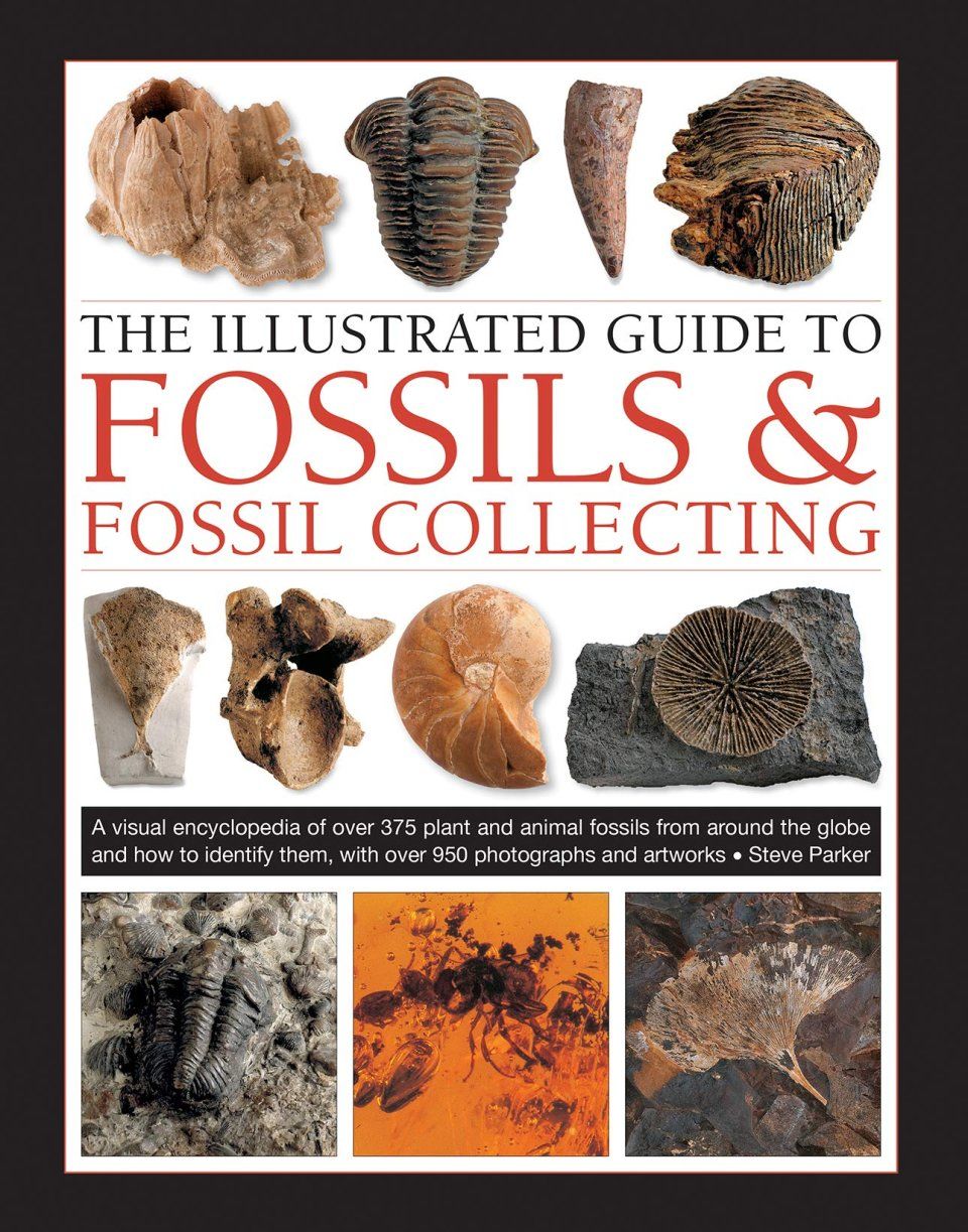 The Illustrated Guide to Fossils &amp; Fossil Collecting
