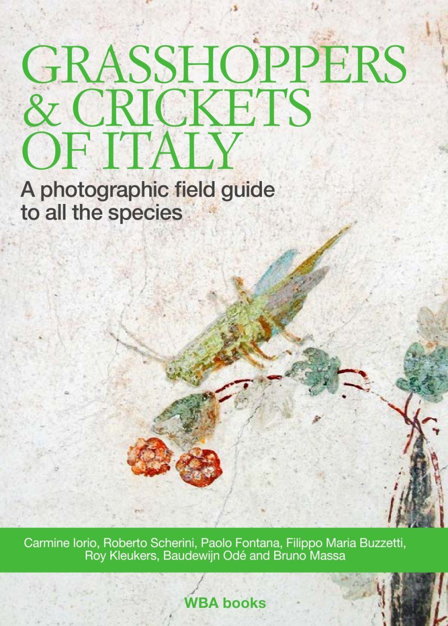 Grasshoppers &amp; Crickets of Italy