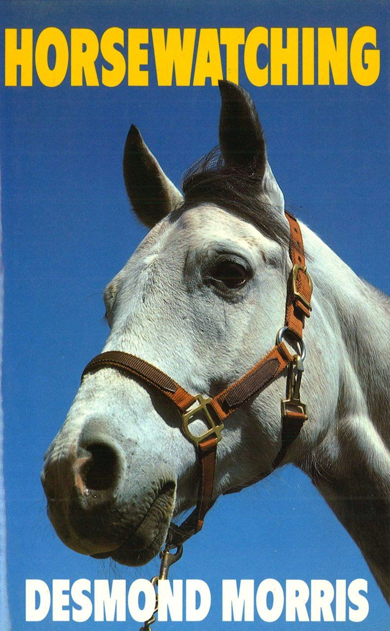 Horsewatching