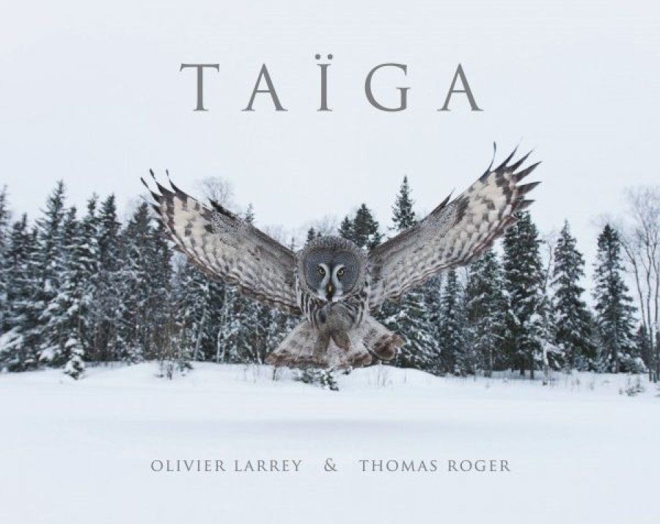 Taïga: Visions of Finnish Nature / Regards sur la Nature Finlandaise