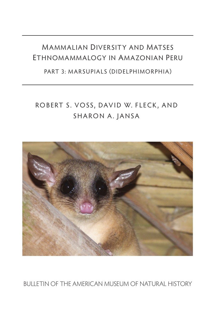 Mammalian Diversity and Matses Ethnomammalogy in Amazonian Peru, Part 3: Marsupials (Didelphimorphia)