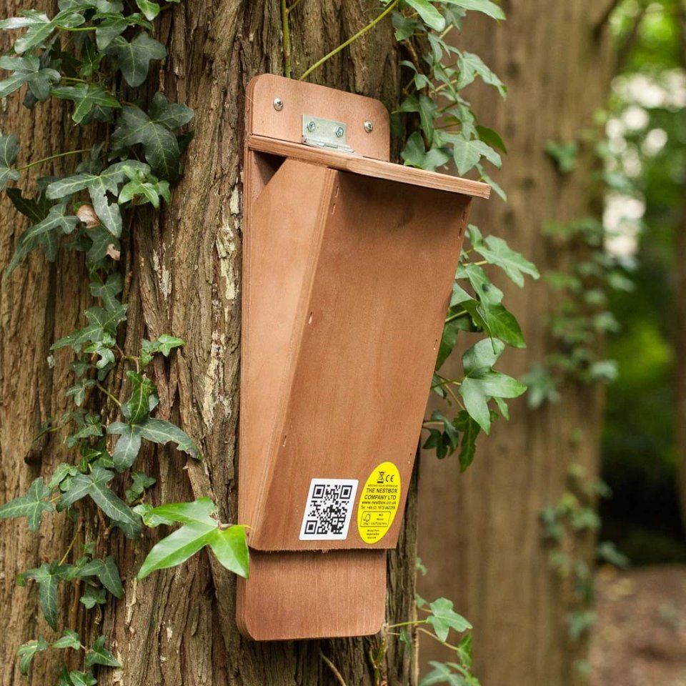 Treecreeper Nest Box