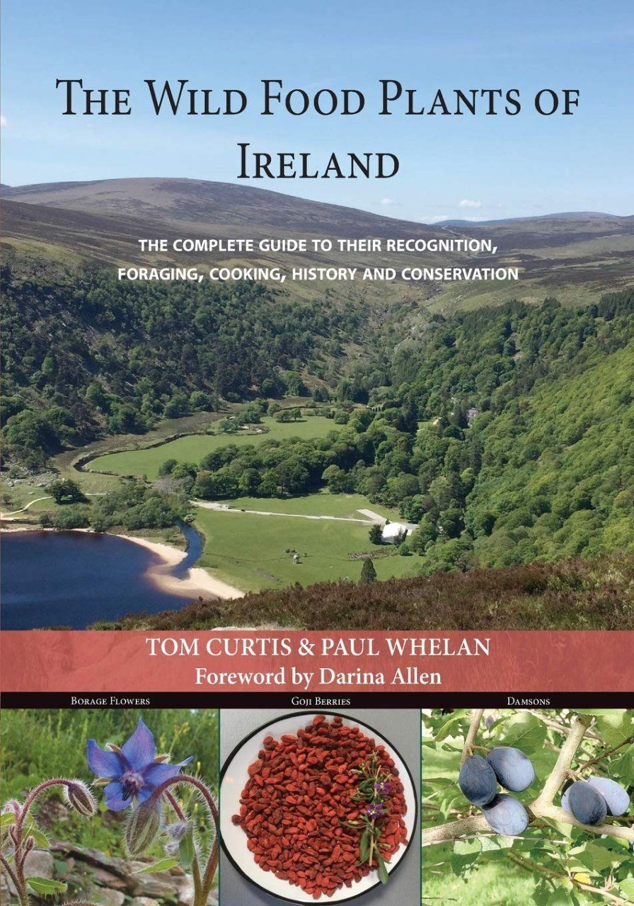 The Wild Food Plants of Ireland