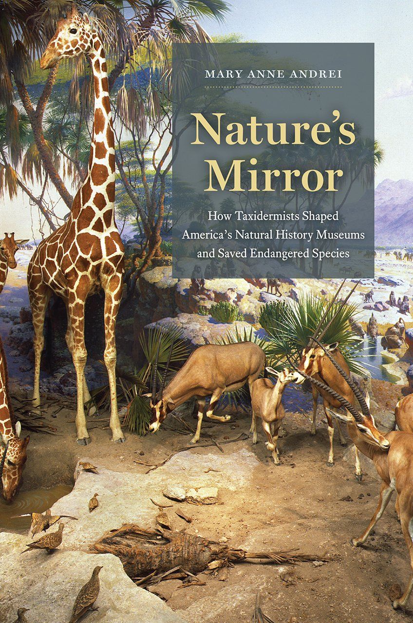 Nature’s Mirror