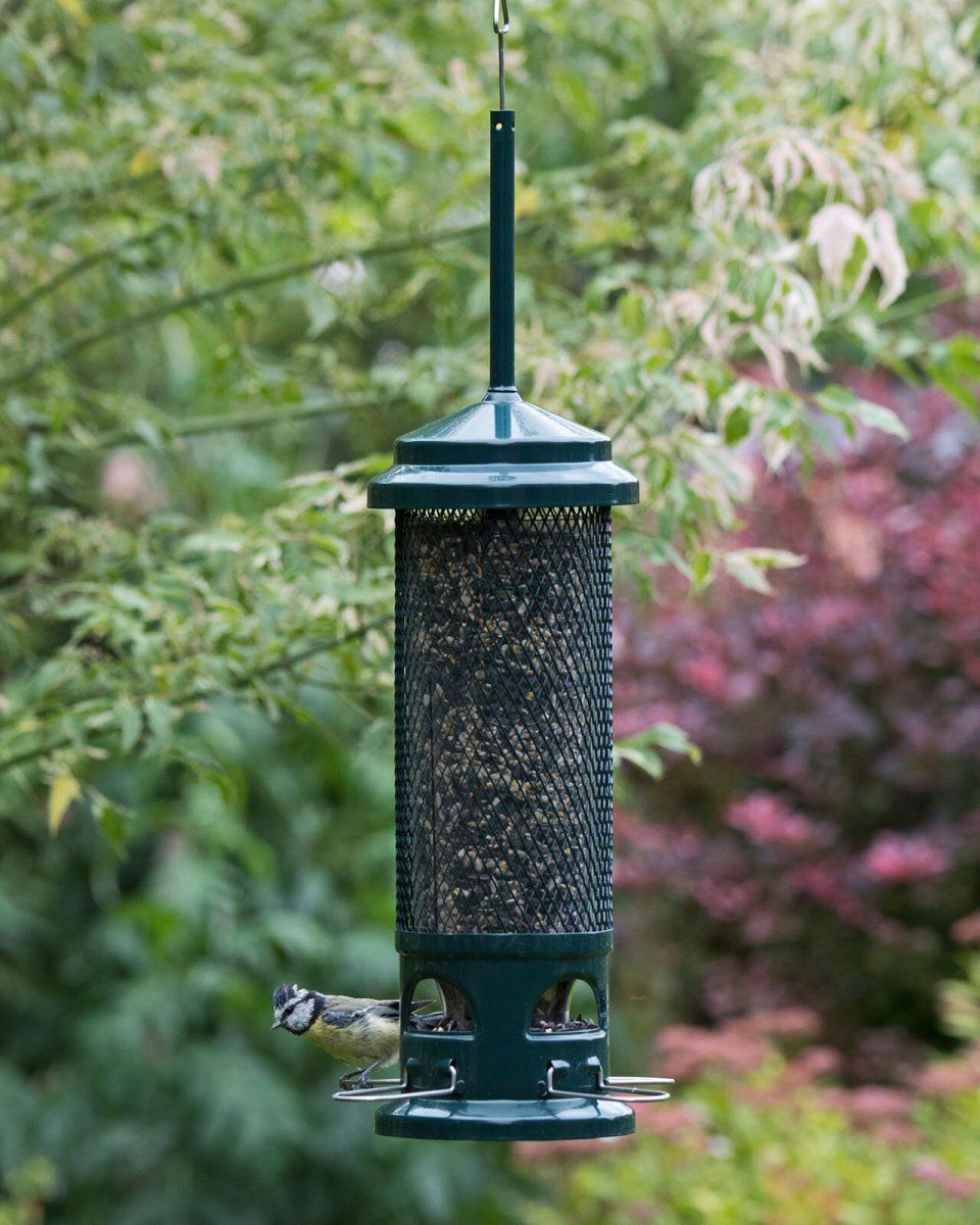 Squirrel Buster Feeder
