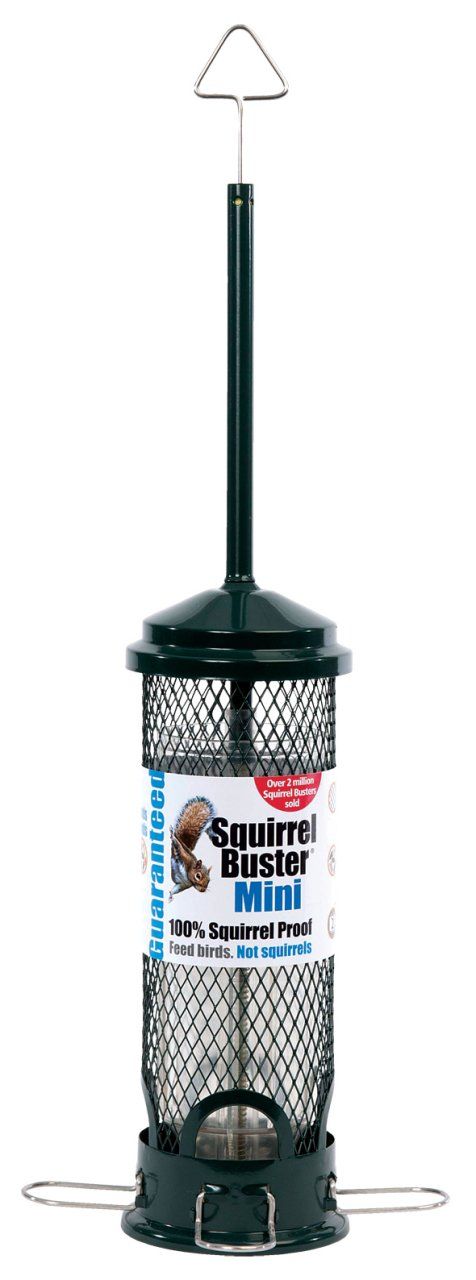 Squirrel Buster Mini Feeder