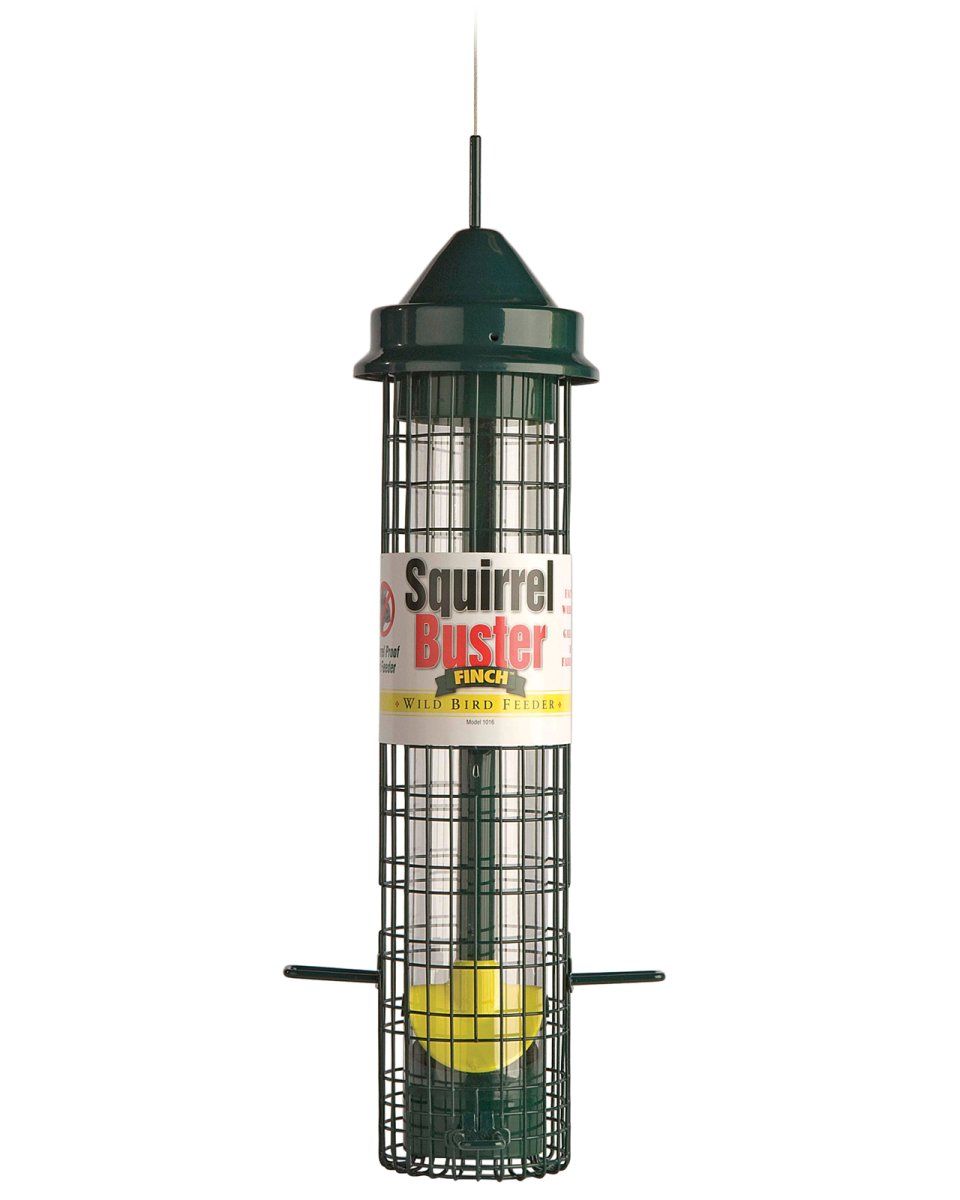 Squirrel Buster Finch Feeder