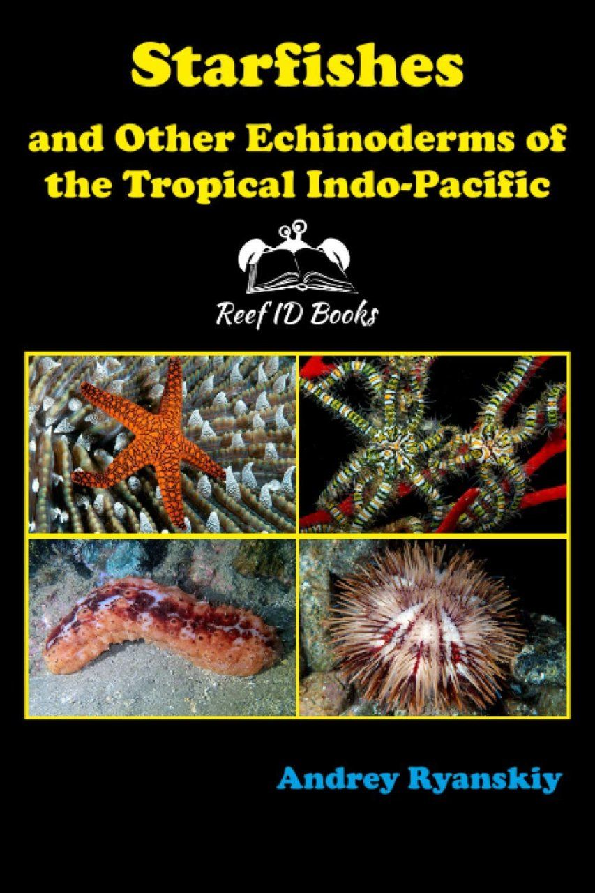 Starfishes and Other Echinoderms of the Tropical Indo-Pacific