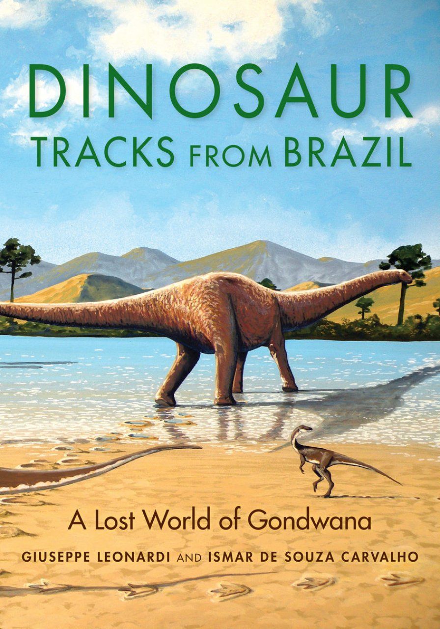 Dinosaur Tracks from Brazil