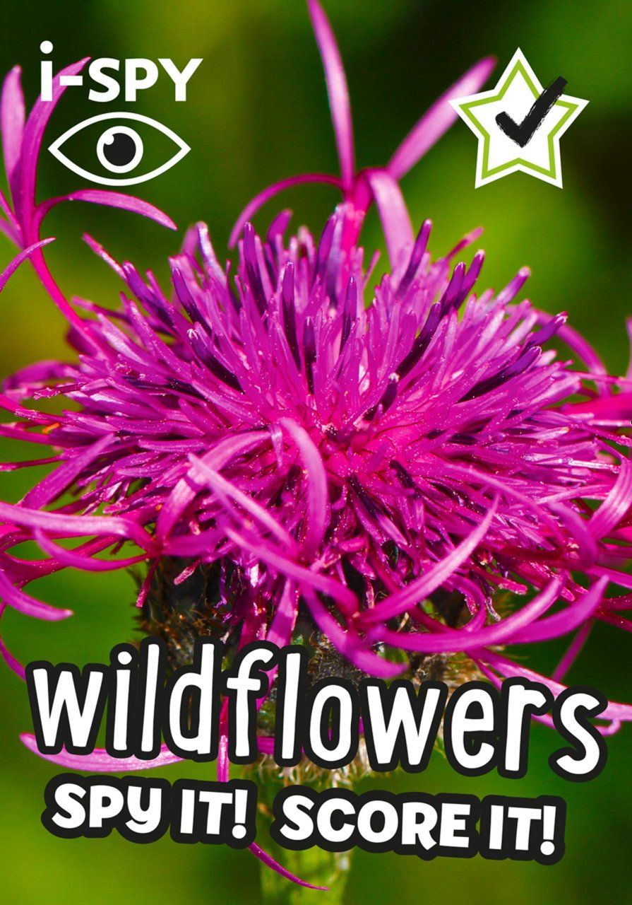 i-Spy Wild Flowers