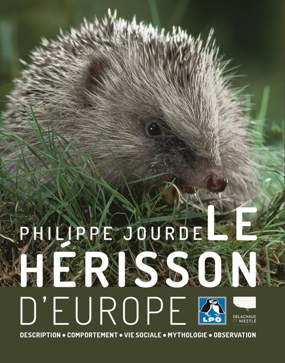 Le Hérisson d&#039;Europe [The European Hedgehog]