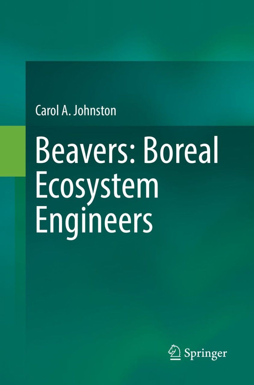 Beavers