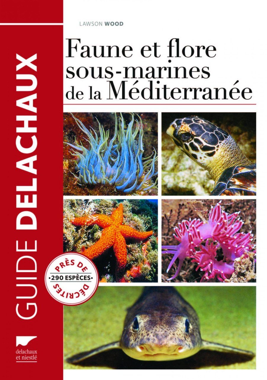Faune et Flore Sous-Marines de la Méditerranée