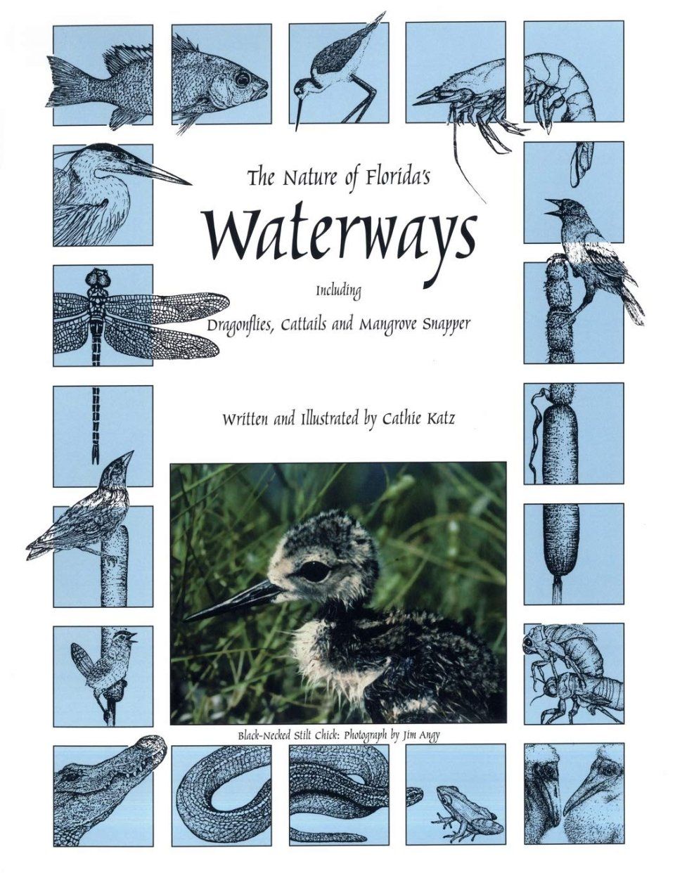 The Nature of Florida&#039;s Waterways