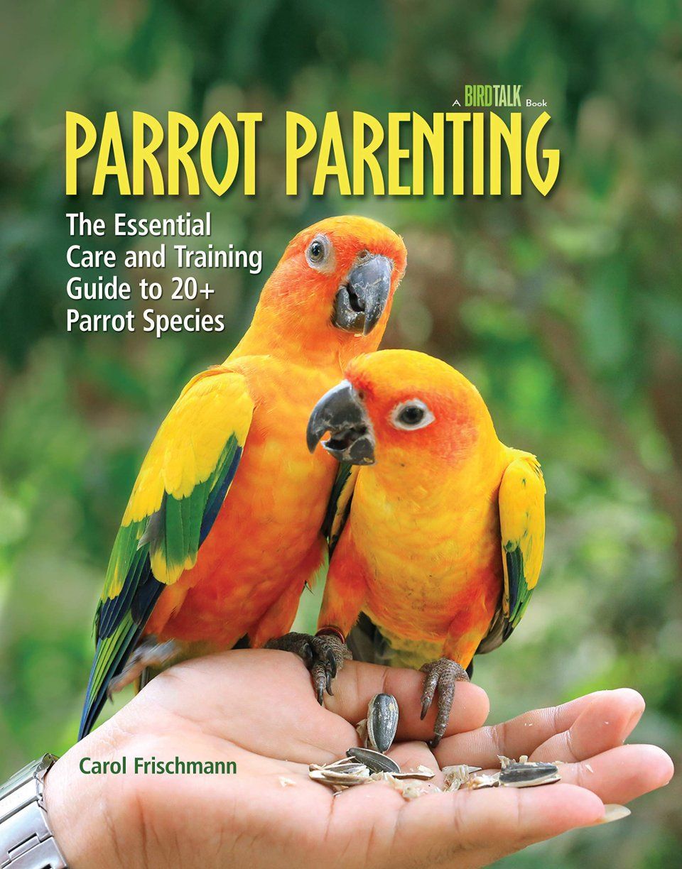 Parrot Parenting
