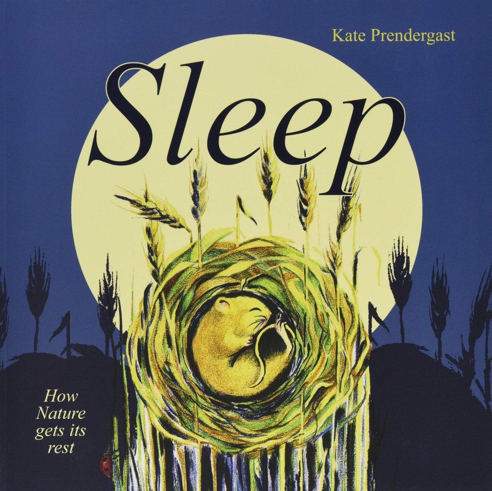 Sleep