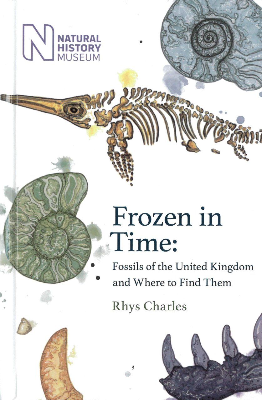Frozen in Time
