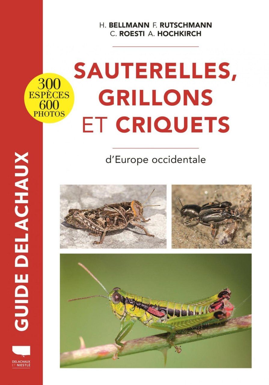 Guide des Sauterelles, Grillons et Criquets d&#039;Europe Occidentale [Guide to the Grasshoppers, Crickets and Locusts of Western Europe]