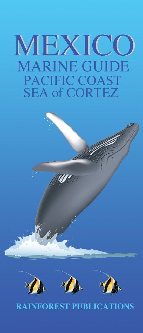 Mexico: Marine Guide: Pacific Coast, Sea of Cortez