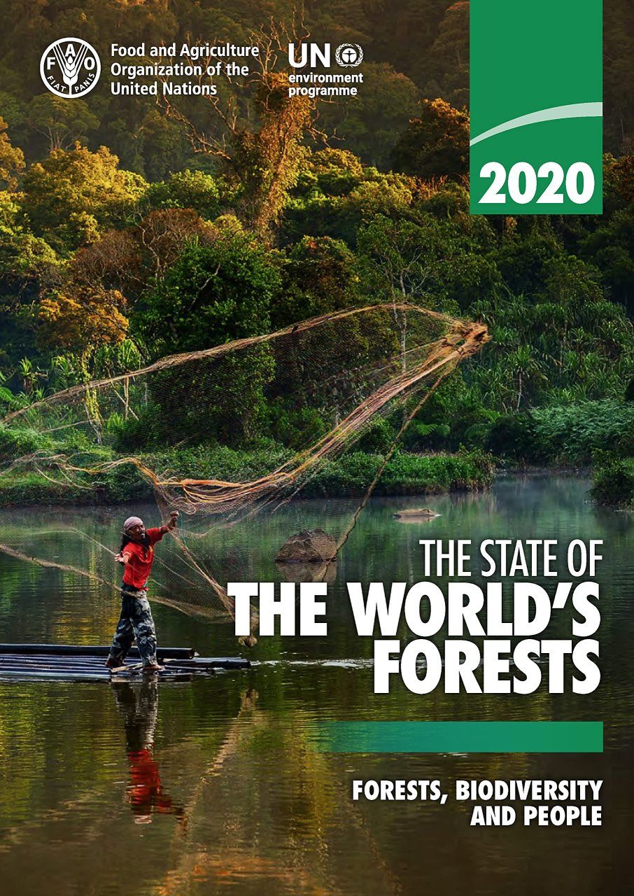 The State of the World&#039;s Forests 2020