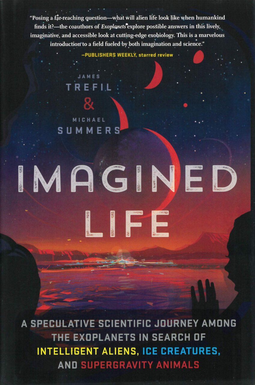 Imagined Life