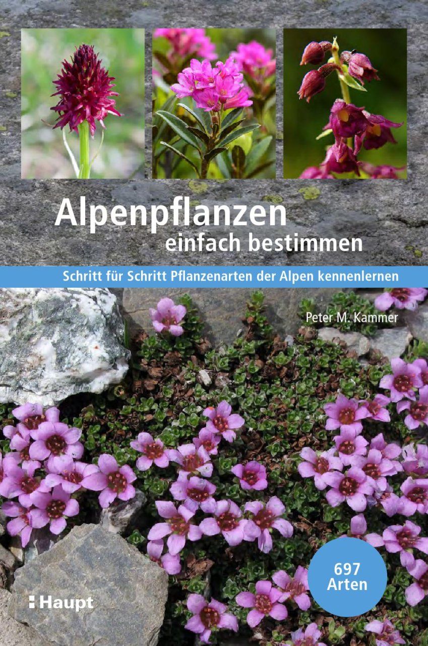 Alpenpflanzen Einfach Bestimmen: Schritt für Schritt Pflanzenarten der Alpen Kennenlernen [Easy Identification of Alpine plants: Get to Know Plant Species in the Alps Step by Step]