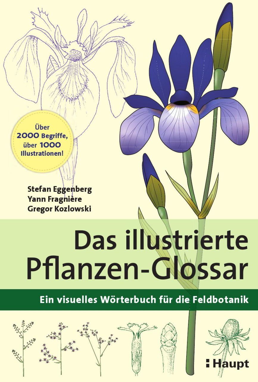Das Illustrierte Pflanzen-Glossar: Ein Visuelles Wörterbuch für die Feldbotanik [The Illustrated Plant Glossary: A Visual Dictionary for Field Botany]
