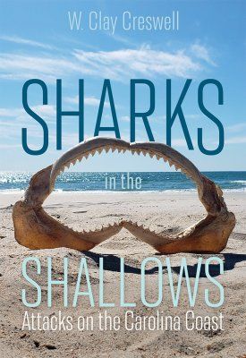 Sharks in the Shallows