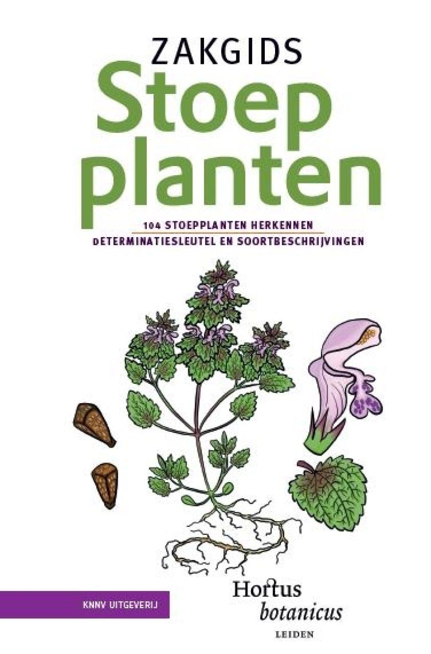 Zakgids Stoepplanten: 104 Stoepplanten Herkennen – Determinatiesleutel en Soortbeschrijvingen [Pocket Guide to Sidewalk Plants: Recognizing 104 Sidewalk Plants – Identification Keys and Species Descriptions]