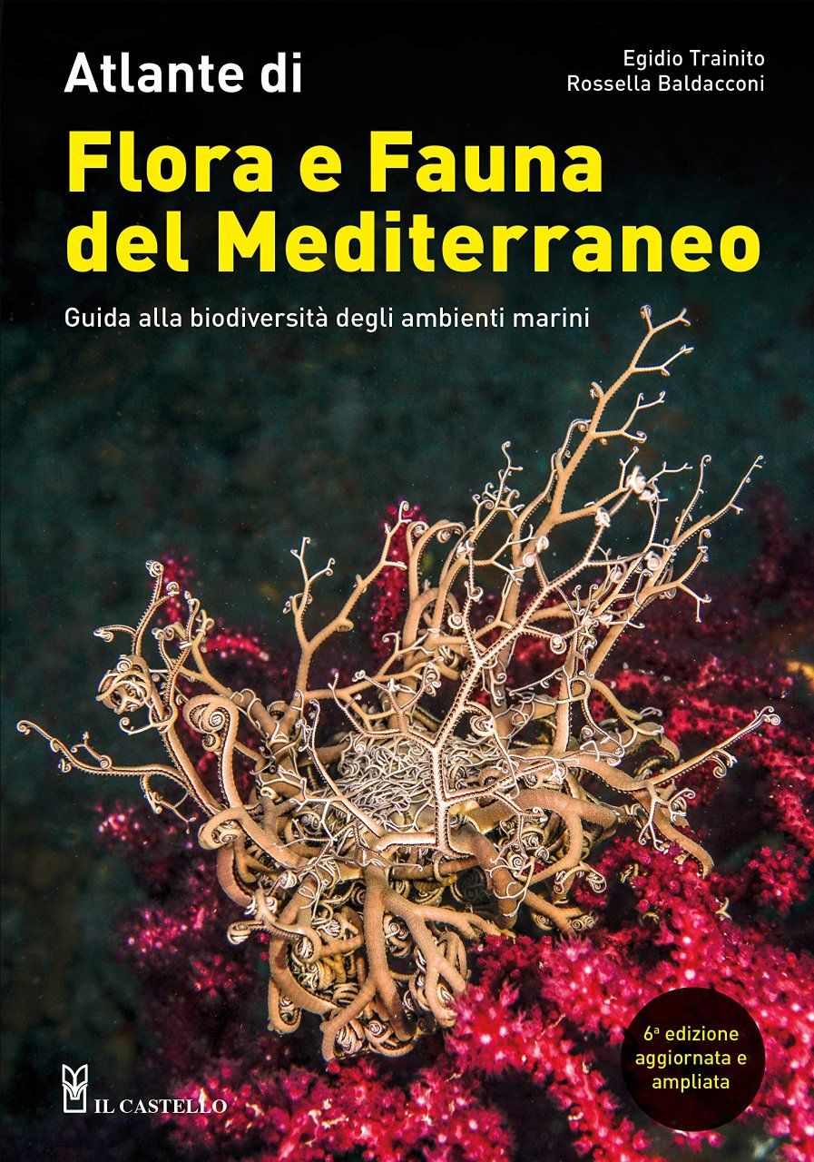 Atlante di Flora &amp; Fauna del Mediterraneo [Atlas of Flora &amp; Fauna of the Mediterranean]