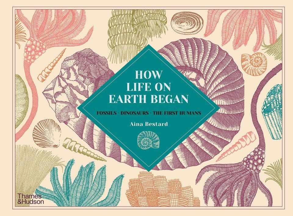 How Life on Earth Began
