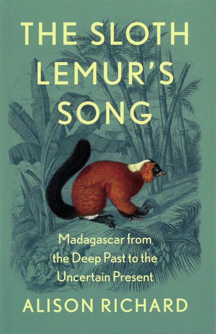 The Sloth Lemur&#039;s Song