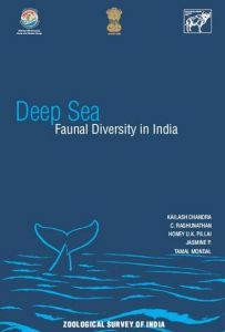 Deep Sea
