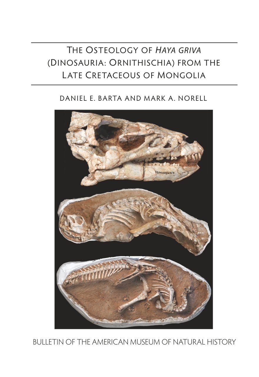 The Osteology of Haya griva (Dinosauria: Ornithischia) from the Late Cretaceous of Mongolia