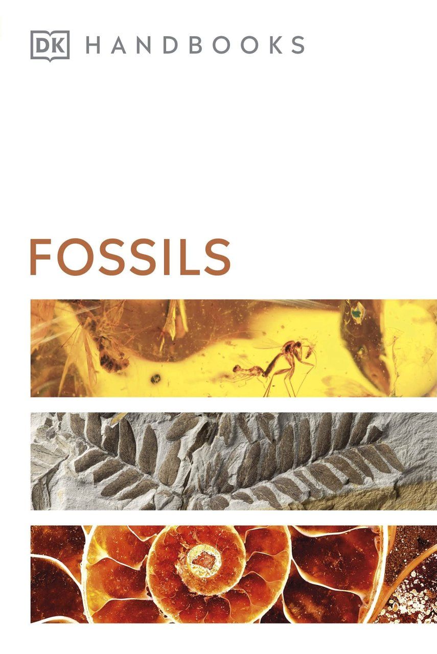 DK Handbook: Fossils