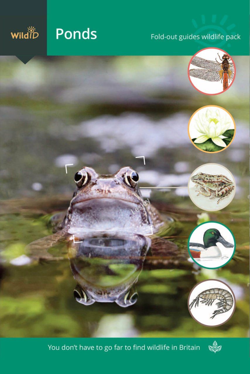 FSC Wildlife Pack: Ponds