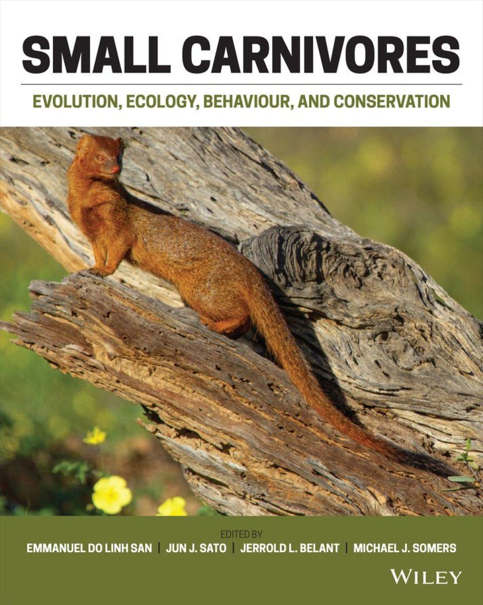 Small Carnivores