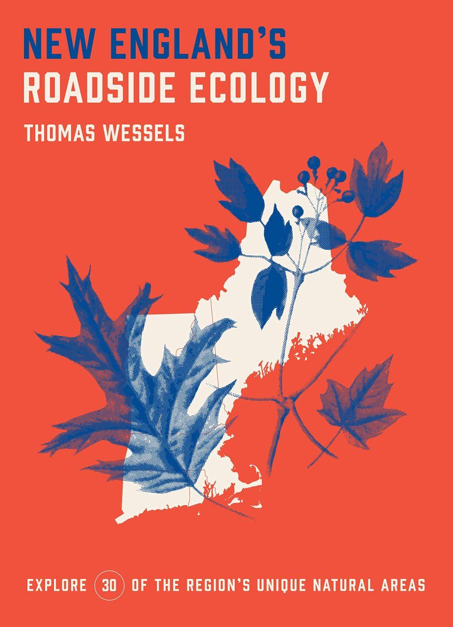 New England&#039;s Roadside Ecology
