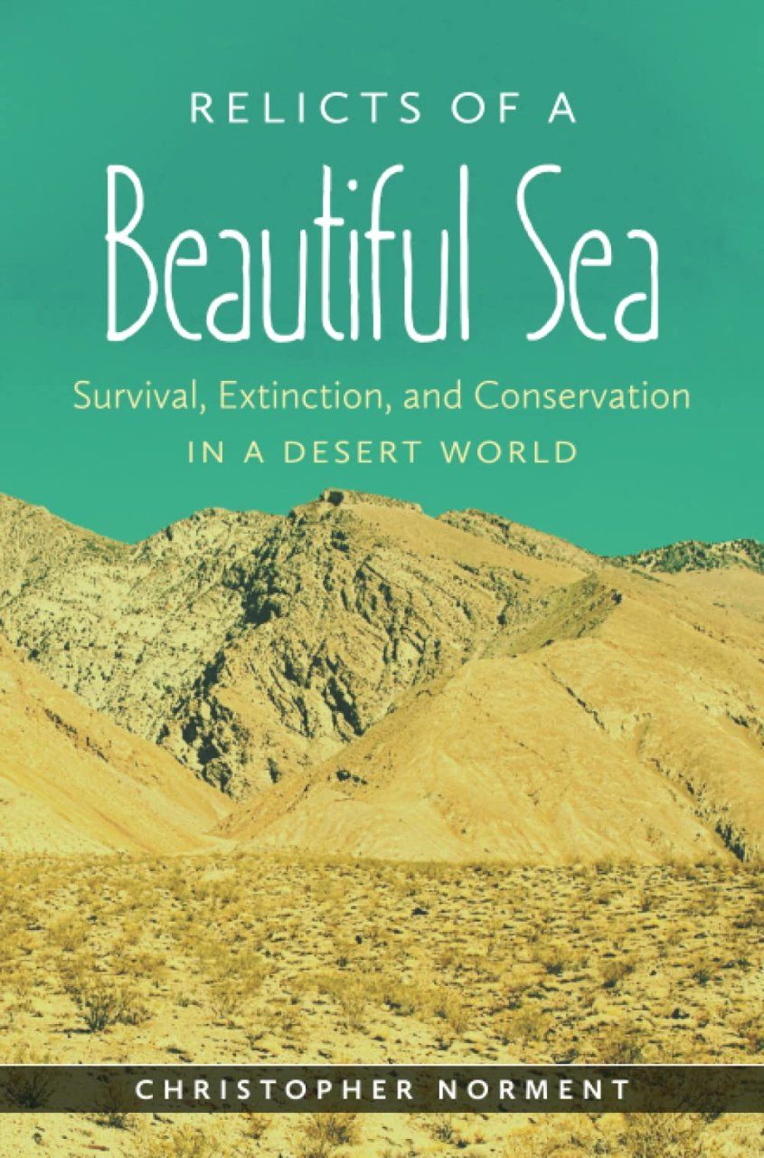 Relicts of a Beautiful Sea