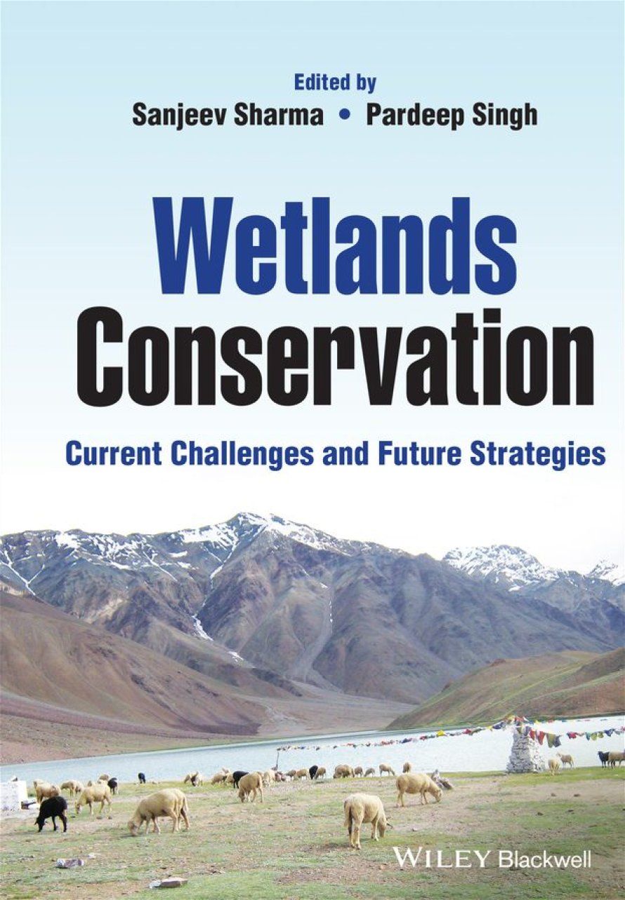 Wetlands Conservation