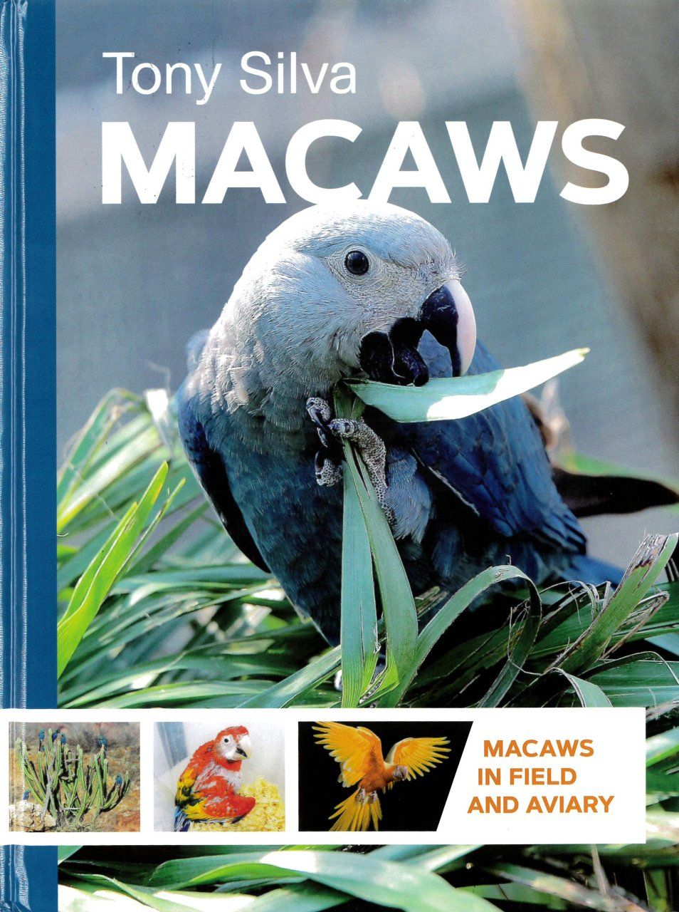 Macaws