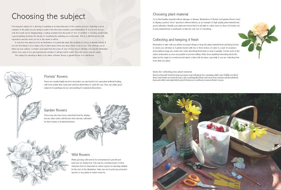 The Kew Book of Botanical Illustration