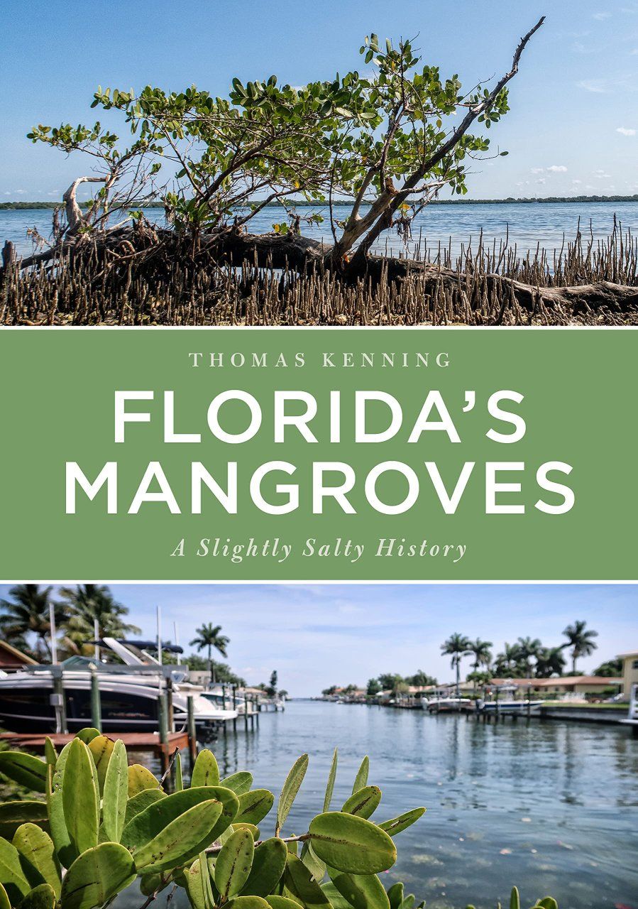 Florida&#039;s Mangroves