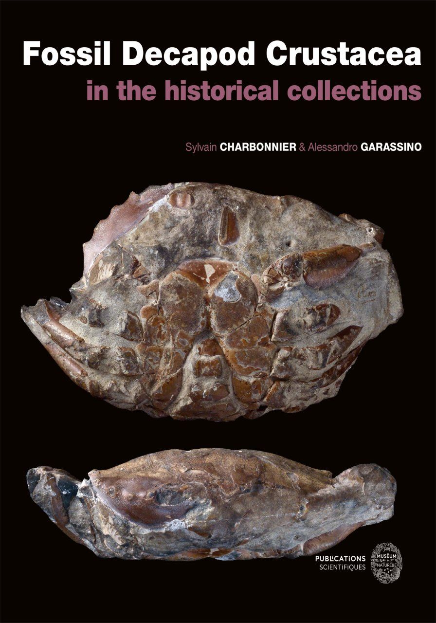 Fossil Decapod Crustacea in the Historical Collections