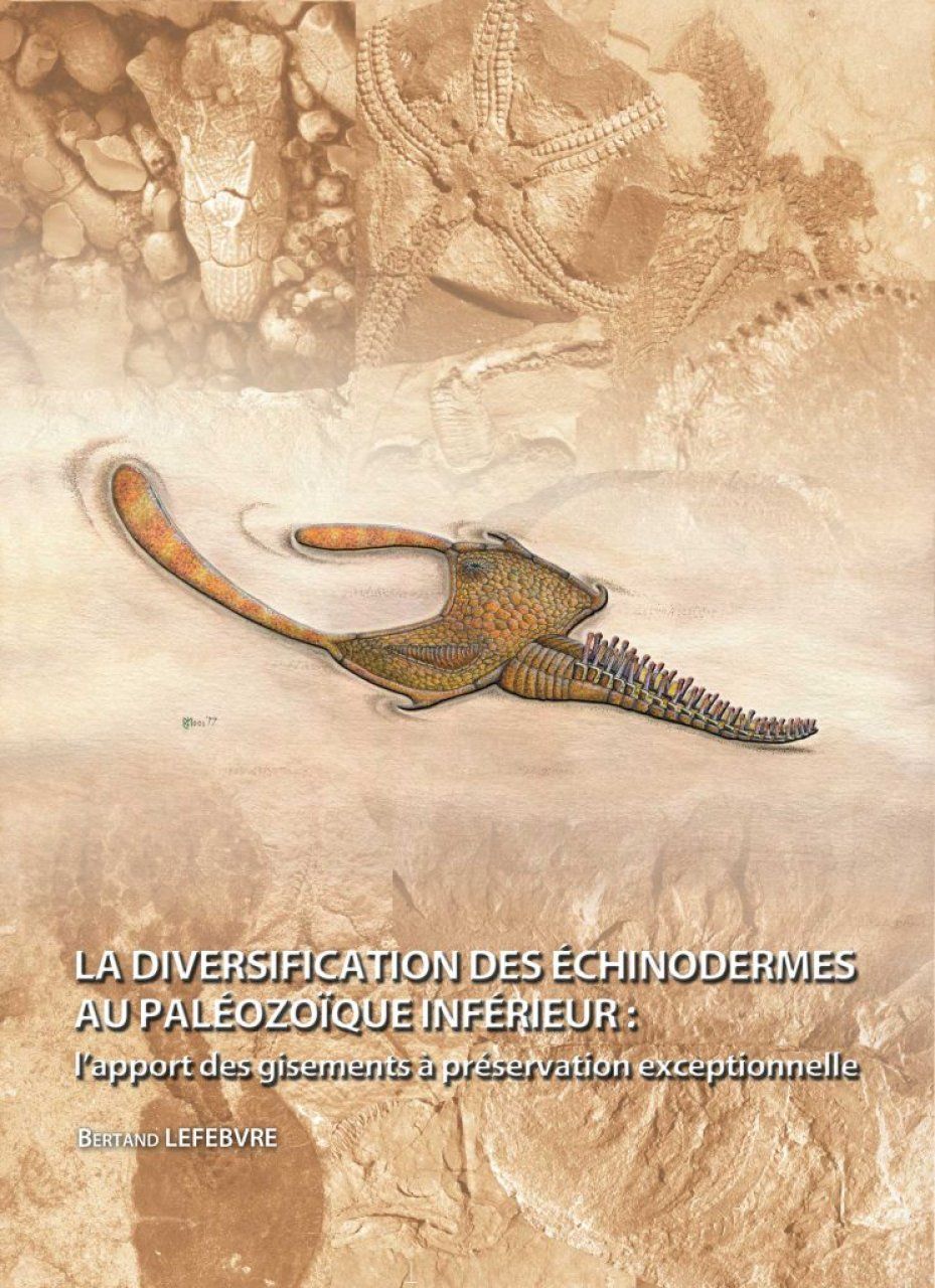 La Diversification des Échinodermes au Paléozoïque Inférieur: L&#039;Apport des Gisements à Préservation Exceptionelle [The Diversification of Echinoderms in the Lower Paleozoic: The Contribution of Deposits with Exceptional Preservation]