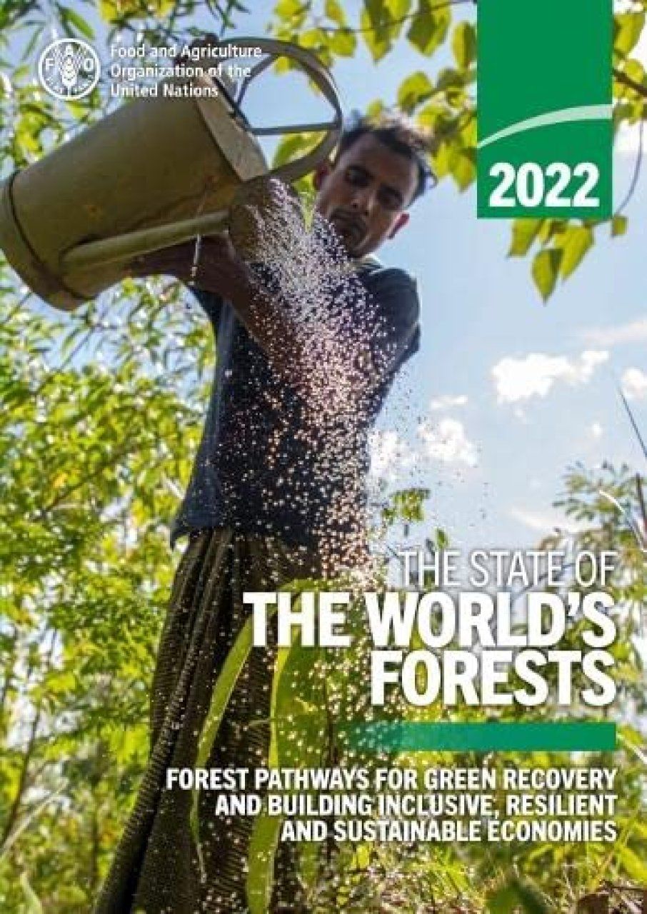 The State of the World&#039;s Forests 2022
