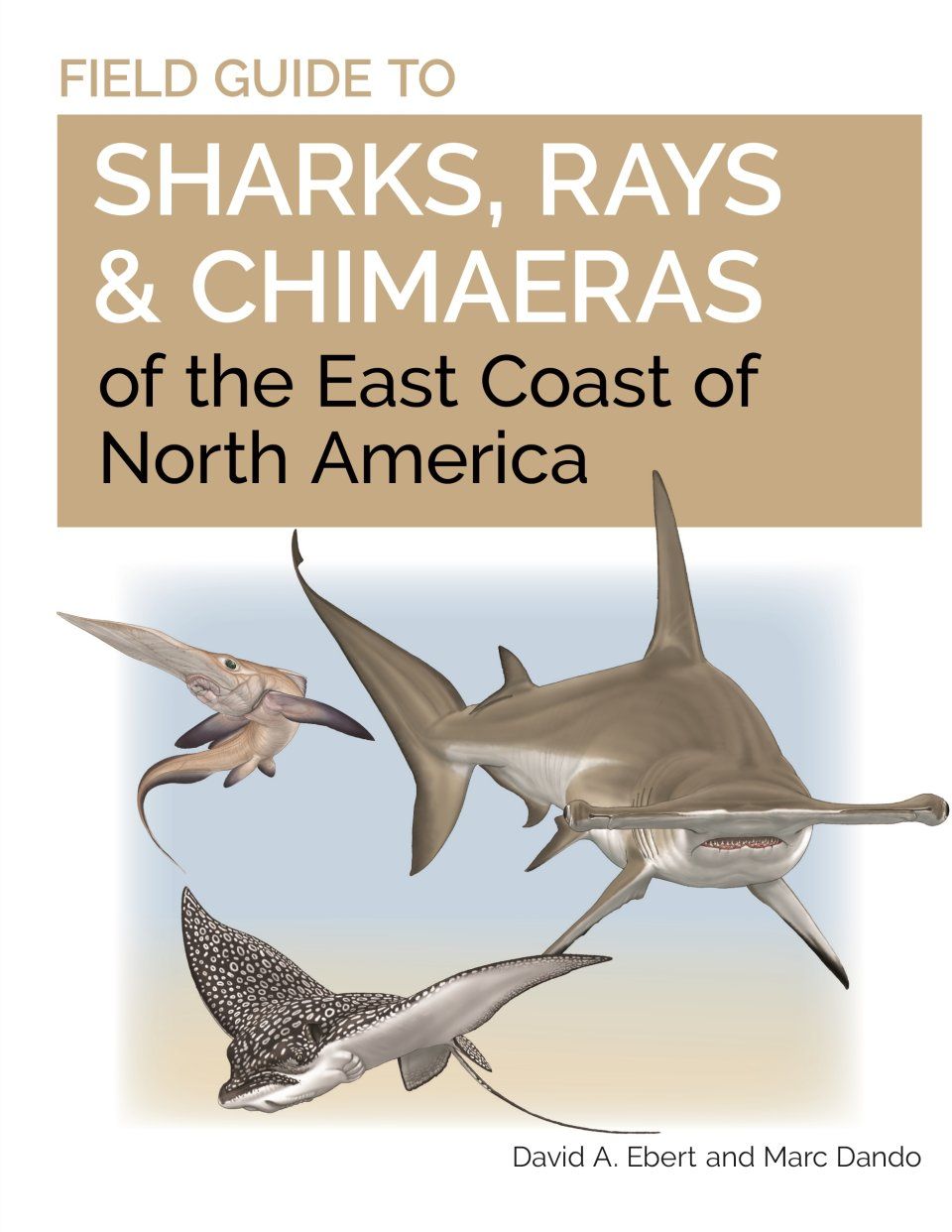 Field Guide to Sharks, Rays &amp; Chimaeras of the East Coast of North America